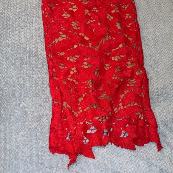Elegant Red Lace Dress - Picture 3 of 5